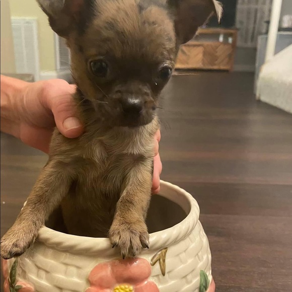 Me - Picture 12 of 17